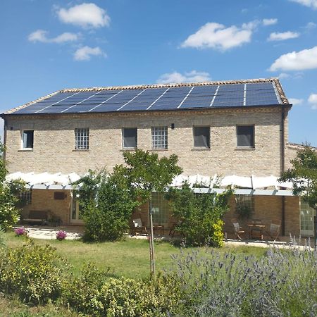 Il Giardino Nella Valle Belvedere Ostrense Kültér fotó