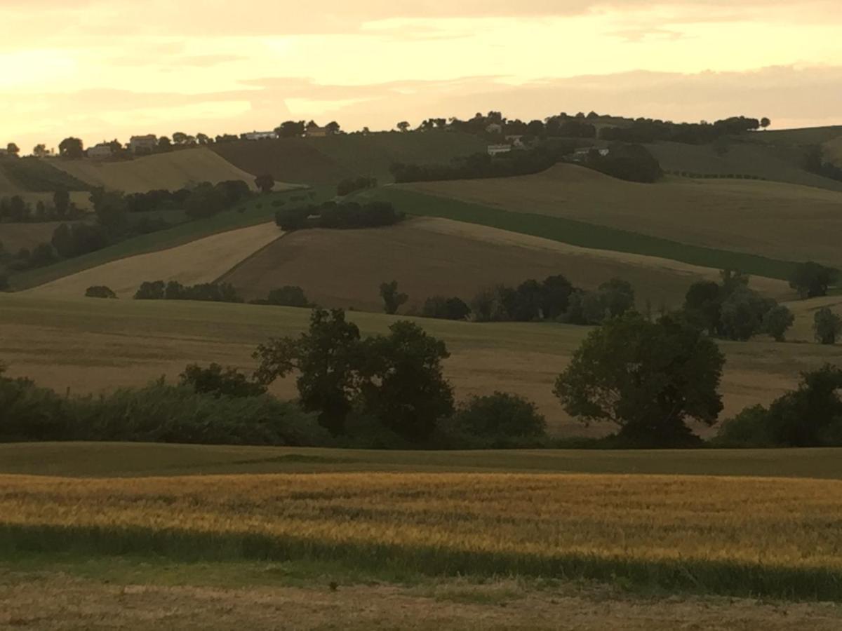 Il Giardino Nella Valle Belvedere Ostrense Kültér fotó