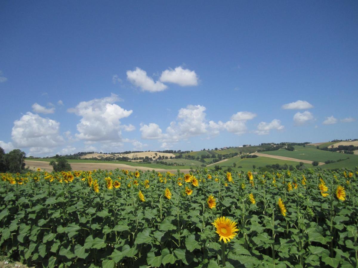 Il Giardino Nella Valle Belvedere Ostrense Kültér fotó