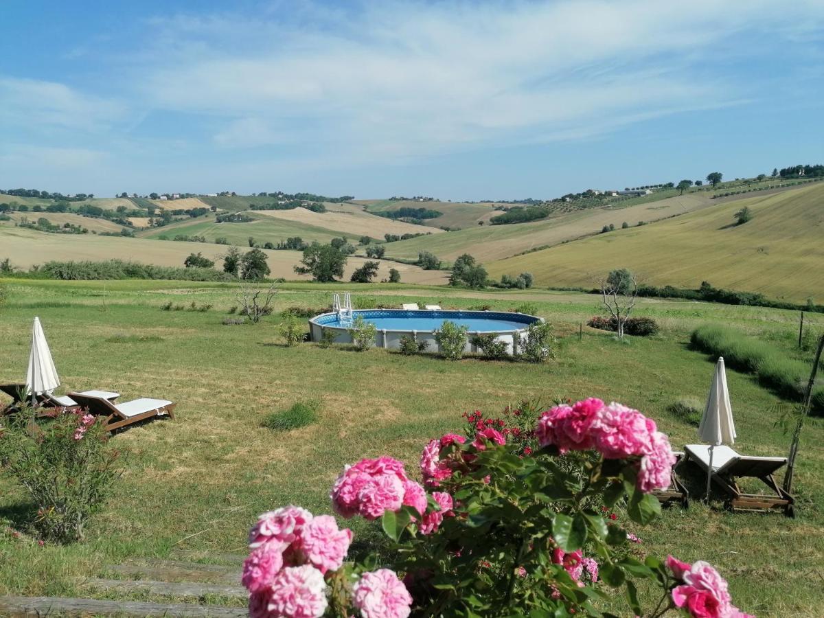 Il Giardino Nella Valle Belvedere Ostrense Kültér fotó
