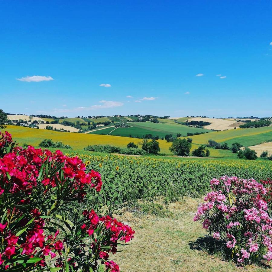 Il Giardino Nella Valle Belvedere Ostrense Kültér fotó