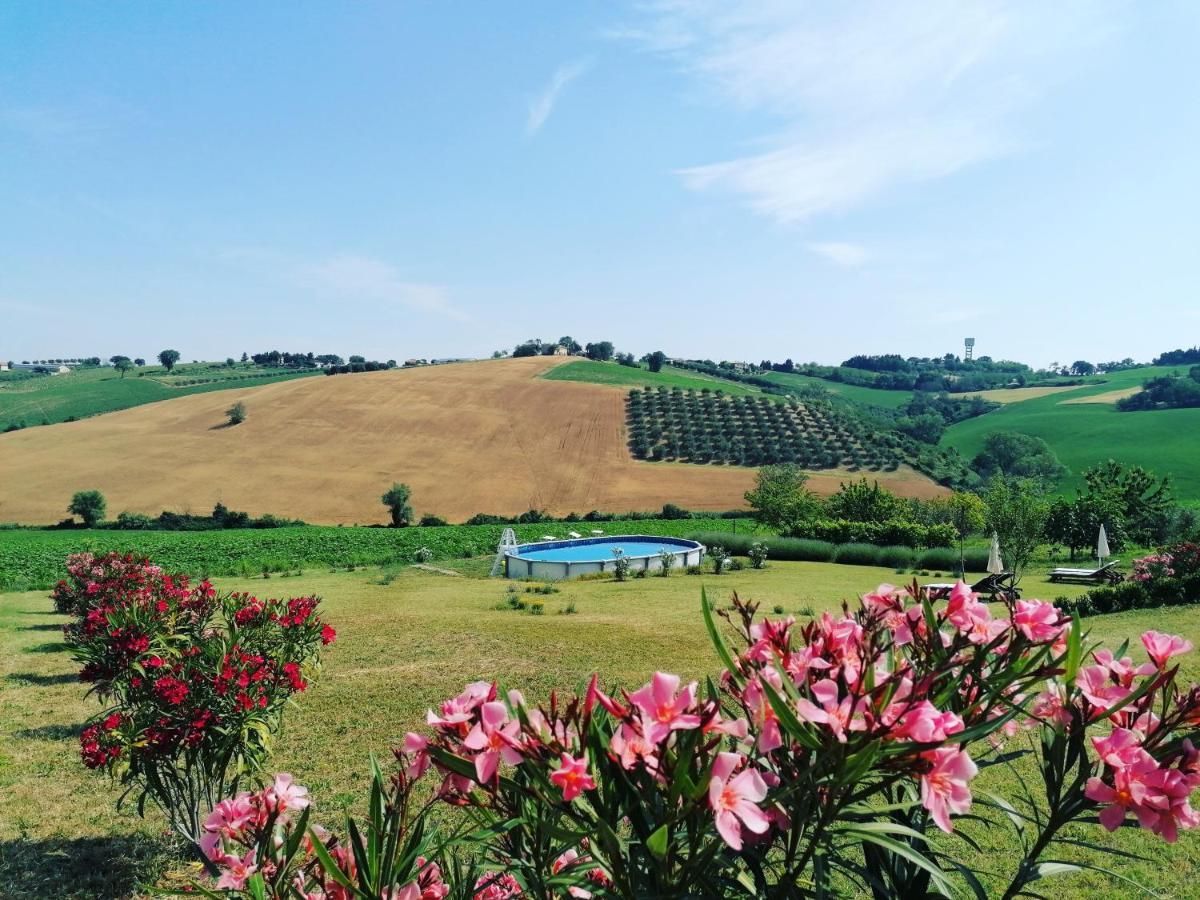 Il Giardino Nella Valle Belvedere Ostrense Kültér fotó