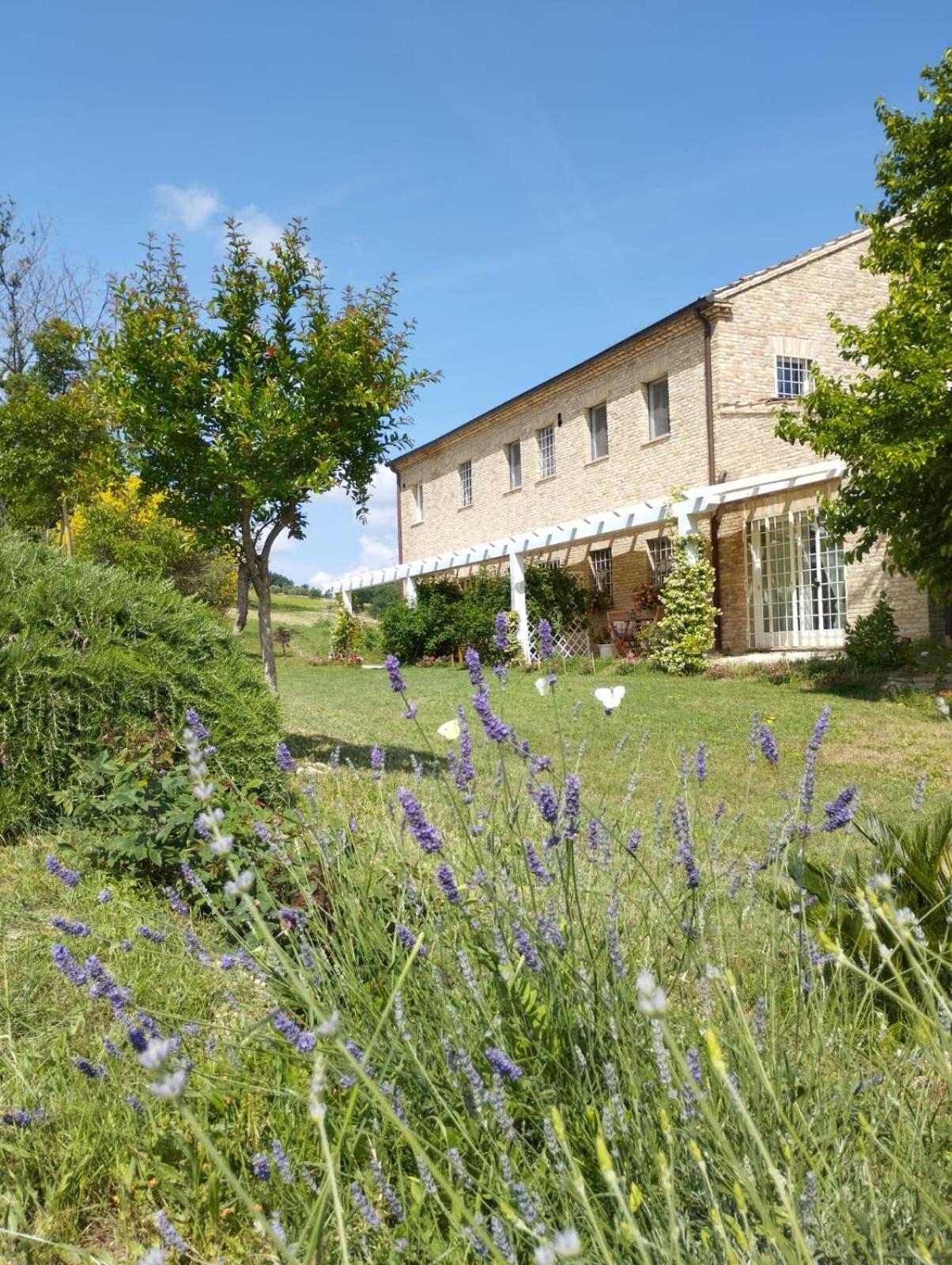 Il Giardino Nella Valle Belvedere Ostrense Szoba fotó