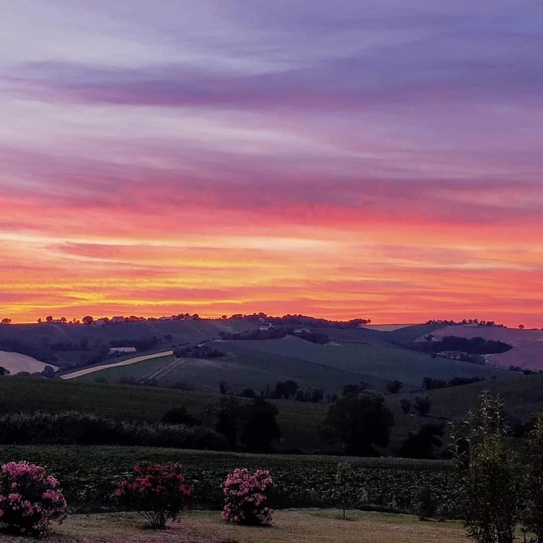 Il Giardino Nella Valle Belvedere Ostrense Kültér fotó