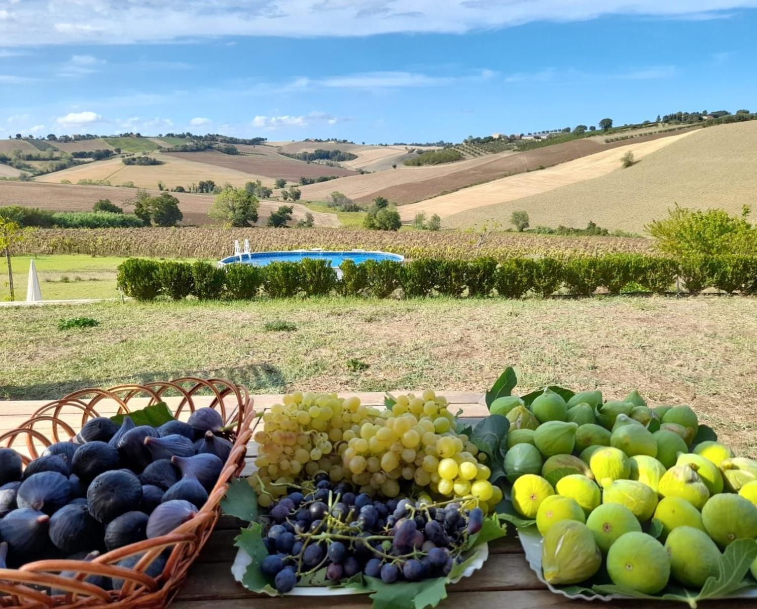 Il Giardino Nella Valle Belvedere Ostrense Kültér fotó