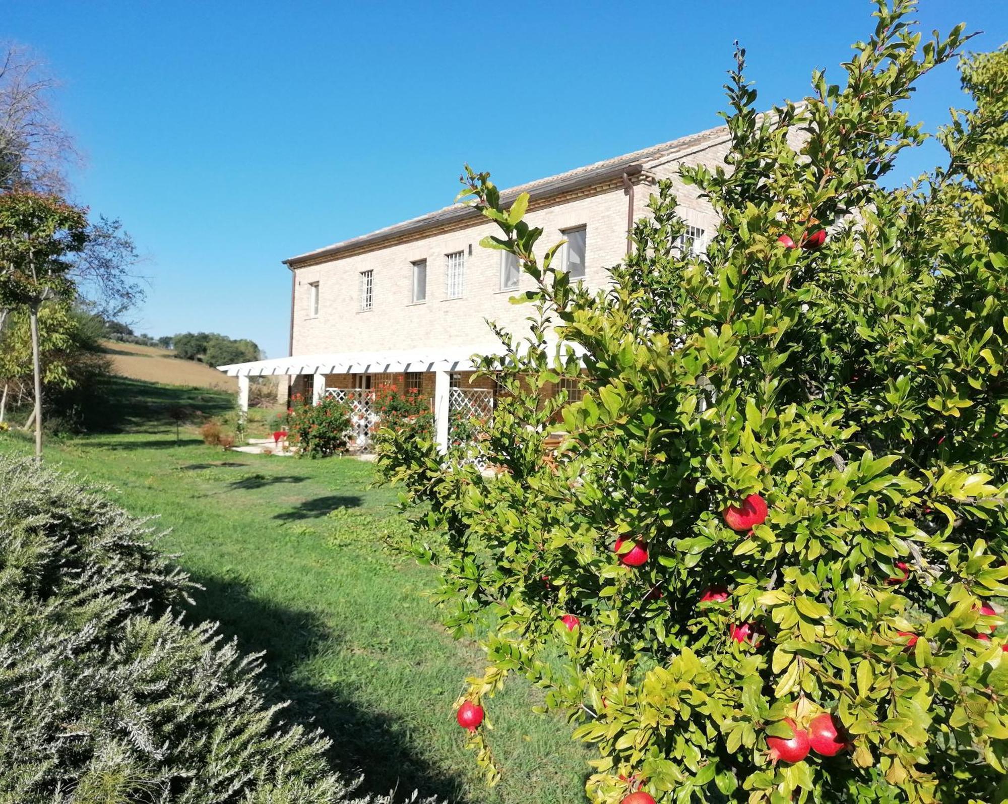 Il Giardino Nella Valle Belvedere Ostrense Kültér fotó