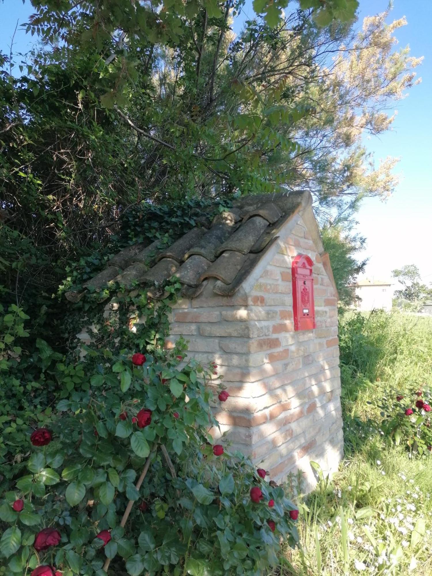 Il Giardino Nella Valle Belvedere Ostrense Kültér fotó