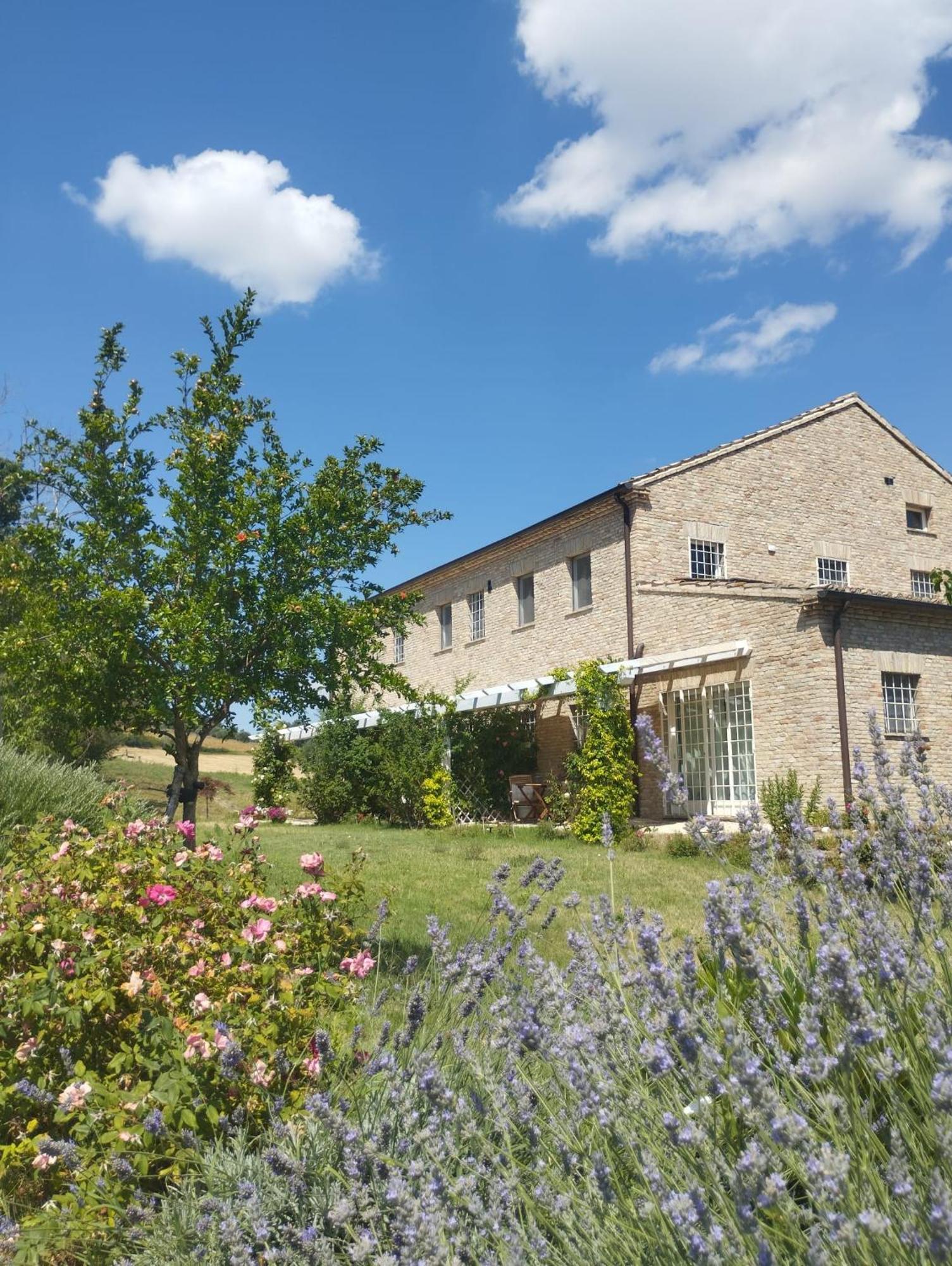 Il Giardino Nella Valle Belvedere Ostrense Kültér fotó